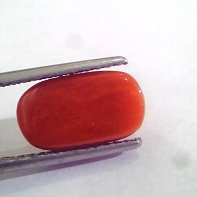 4.48 Ct 4.97 Ratti Natural Italian Red Coral Moonga Gemstone AAAA