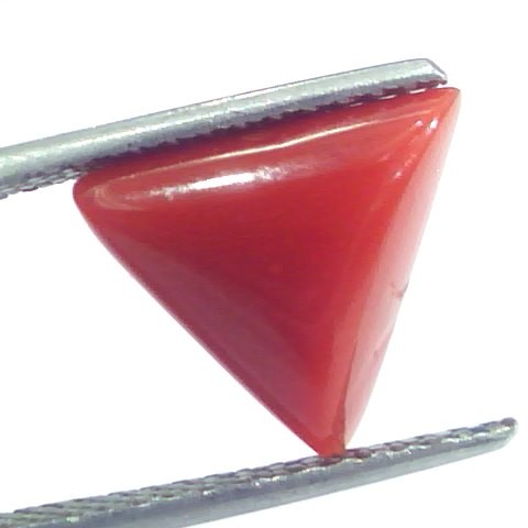 4.50 Ct 7.5 Ratti Natural Italian Triangle Red Coral Moonga Gemstone