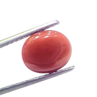 4.57 Ct 5.05 Ratti Natural Untreated Italian Red Coral Moonga AAAAA 4.57 Ct 5.05 Ratti Natural Untreated Italian Red Coral Moonga AAAAA