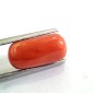 4.60 Ct 5.11 Ratti Untreated Natural Italian Red Coral Moonga Gemstone A+