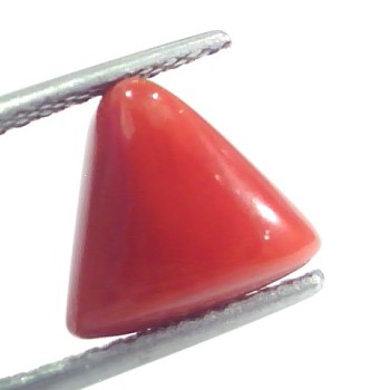 4.62 Ct 5.13 Ratti Natural Italian Triangle Red Coral Moonga Gemstone