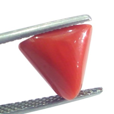 4.62 Ct 5.13 Ratti Natural Italian Triangle Red Coral Moonga Gemstone