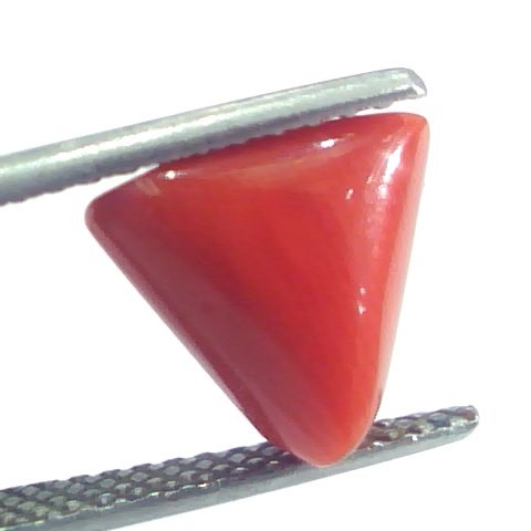 4.62 Ct 5.13 Ratti Natural Italian Triangle Red Coral Moonga Gemstone