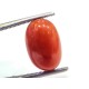 4.71 Ct 7.8 Ratti Natural Untreated Italian Red Coral Moonga Gems