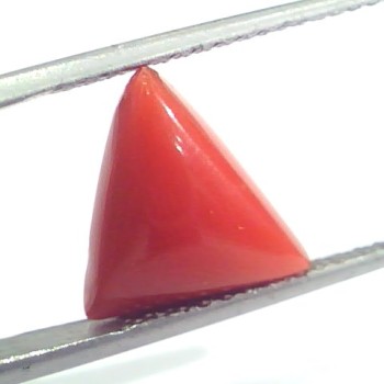 4.66 Ct 5.17 Ratti Natural Italian Triangle Red Coral Moonga Gemstone
