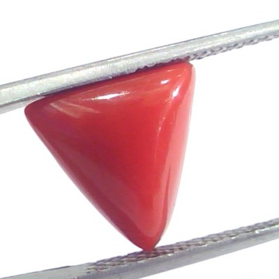 4.66 Ct 5.17 Ratti Natural Italian Triangle Red Coral Moonga Gemstone
