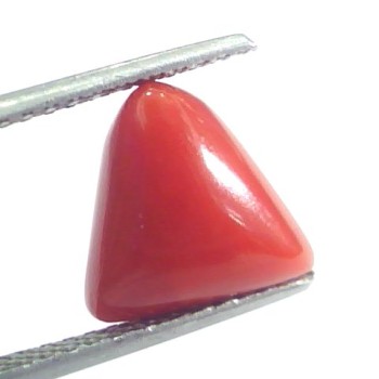 4.70 Ct 5.22 Ratti Natural Italian Triangle Red Coral Moonga Gemstone