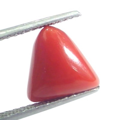 4.70 Ct 5.22 Ratti Natural Italian Triangle Red Coral Moonga Gemstone