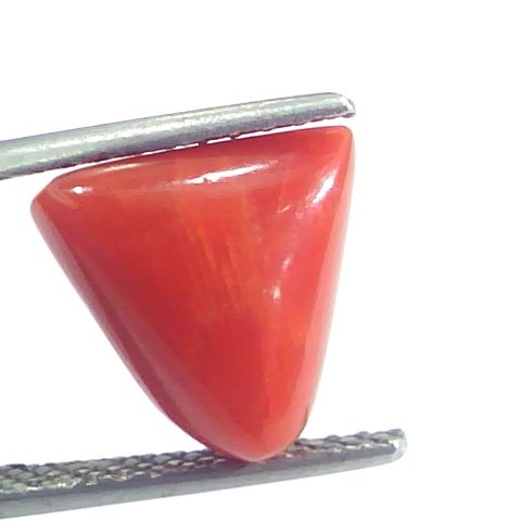 4.70 Ct 5.22 Ratti Natural Italian Triangle Red Coral Moonga Gemstone