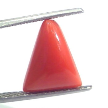 4.78 Ct 5.31 Ratti Natural Italian Triangle Red Coral Moonga Gemstone