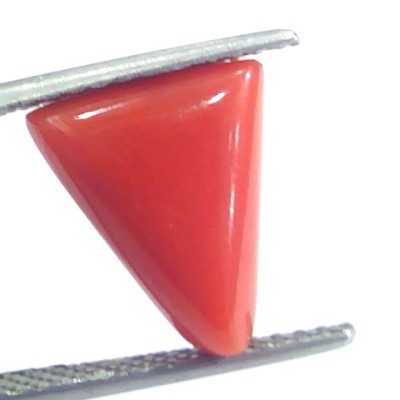 4.78 Ct 5.31 Ratti Natural Italian Triangle Red Coral Moonga Gemstone