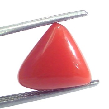 4.82 Ct 5.35 Ratti Natural Italian Triangle Red Coral Moonga Gemstone