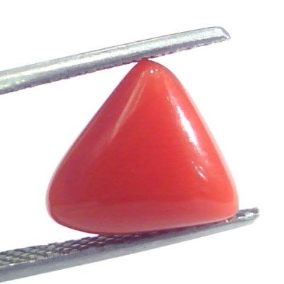 4.82 Ct 5.35 Ratti Natural Italian Triangle Red Coral Moonga Gemstone