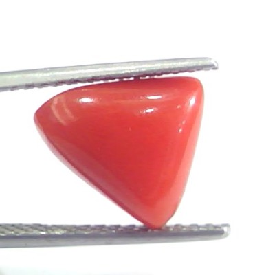 4.82 Ct 5.35 Ratti Natural Italian Triangle Red Coral Moonga Gemstone