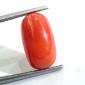 4.83 Ct 5.36 Ratti Untreated Natural Italian Red Coral Moonga Gemstone A+