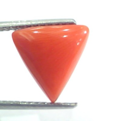 4.85 Ct 8 Ratti Natural Italian Triangle Red Coral Moonga Gems
