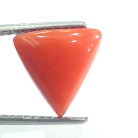 4.85 Ct 8 Ratti Natural Italian Triangle Red Coral Moonga Gems