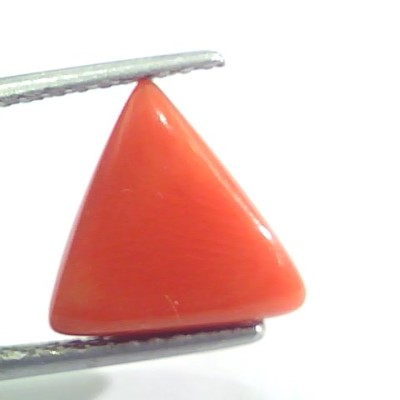 4.85 Ct 8 Ratti Natural Italian Triangle Red Coral Moonga Gems