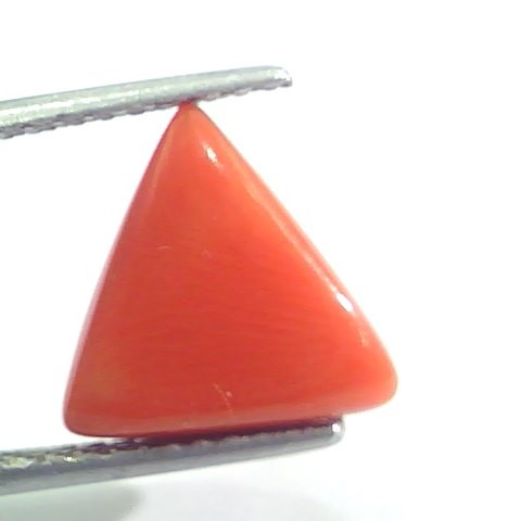 4.85 Ct 8 Ratti Natural Italian Triangle Red Coral Moonga Gems