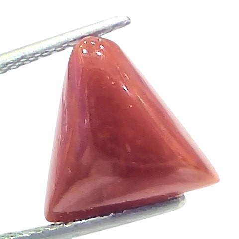 4.86 Ct Natural Italian Triangle Red Coral Trikon Moonga Gemstone 4.86 Ct Natural Italian Triangle Red Coral Trikon Moonga Gemstone