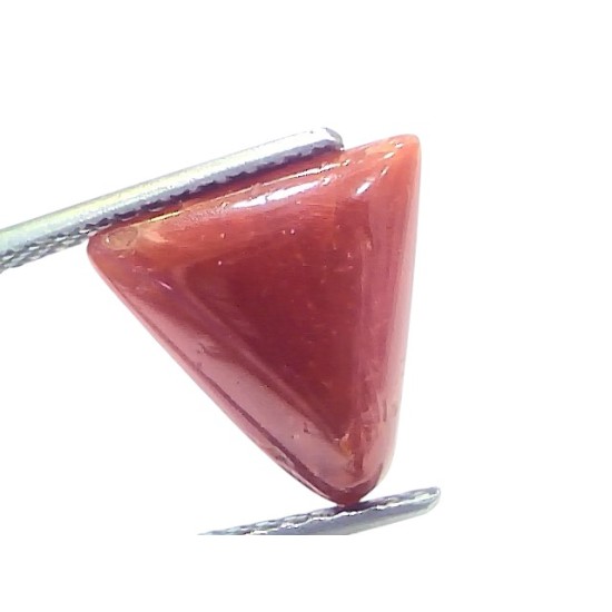 4.86 Ct Natural Italian Triangle Red Coral Trikon Moonga Gemstone