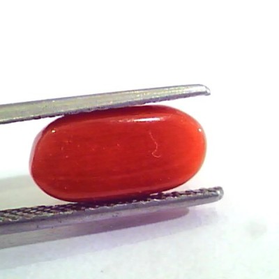 4.90 Carat Natural Italian Red Coral Moonga Gemstone AAAA