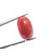 4.91 Ct 5.45 Ratti Natural Untreated Italian Red Coral Moonga AAAAA 4.91 Ct 5.45 Ratti Natural Untreated Italian Red Coral Moonga AAAAA