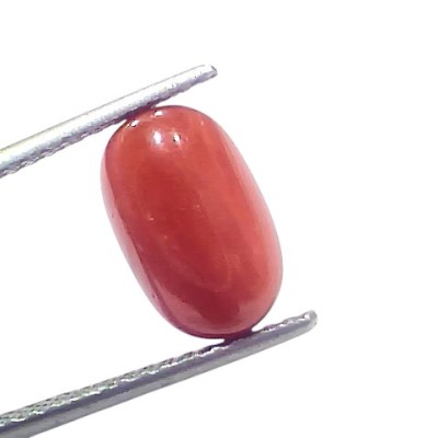 4.95 Ct 5.45 Ratti Natural Untreated Italian Red Coral Moonga AAAAA 4.95 Ct 5.45 Ratti Natural Untreated Italian Red Coral Moonga AAAAA
