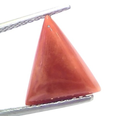 4.94 Ct Natural Italian Triangle Red Coral Trikon Moonga Gemstone 4.94 Ct Natural Italian Triangle Red Coral Trikon Moonga Gemstone