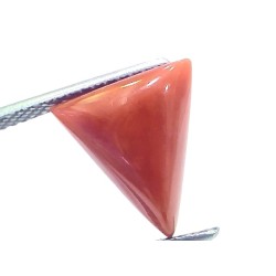 4.94 Ct Natural Italian Triangle Red Coral Trikon Moonga Gemstone 4.94 Ct Natural Italian Triangle Red Coral Trikon Moonga Gemstone