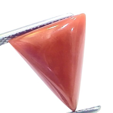 4.94 Ct Natural Italian Triangle Red Coral Trikon Moonga Gemstone 4.94 Ct Natural Italian Triangle Red Coral Trikon Moonga Gemstone