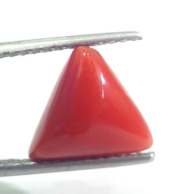 4.93 Ct 8.1 Ratti Natural Italian Triangle Red Coral Moonga Gems