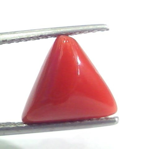 4.93 Ct 8.1 Ratti Natural Italian Triangle Red Coral Moonga Gems