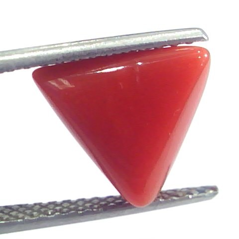 4.93 Ct 8.1 Ratti Natural Italian Triangle Red Coral Moonga Gems