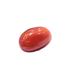 4.97 Ct 5.47 Ratti Natural Untreated Italian Red Coral Moonga AAAAA 4.97 Ct 5.47 Ratti Natural Untreated Italian Red Coral Moonga AAAAA