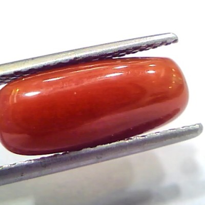 5.02 Ct 8.3 Ratti Natural Untreated Italian Red Coral Moonga Gems