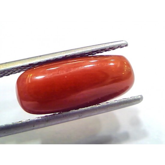 5.02 Ct 8.3 Ratti Natural Untreated Italian Red Coral Moonga Gems