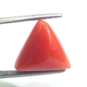 4.97 Ct 5.52 Ratti Natural Italian Triangle Red Coral Moonga Gems