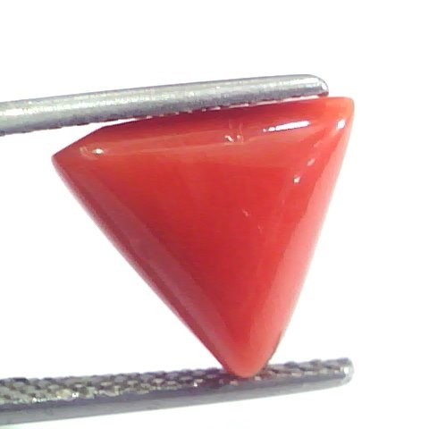 4.97 Ct 5.52 Ratti Natural Italian Triangle Red Coral Moonga Gems