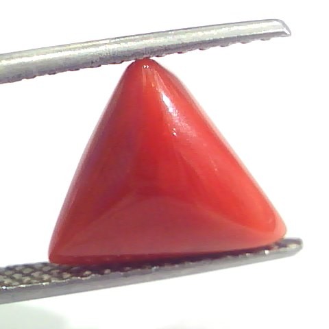 4.97 Ct 8.25 Ratti Natural Italian Triangle Red Coral Moonga Gemstone