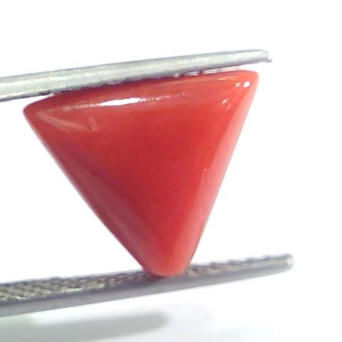 4.97 Ct 8.25 Ratti Natural Italian Triangle Red Coral Moonga Gemstone