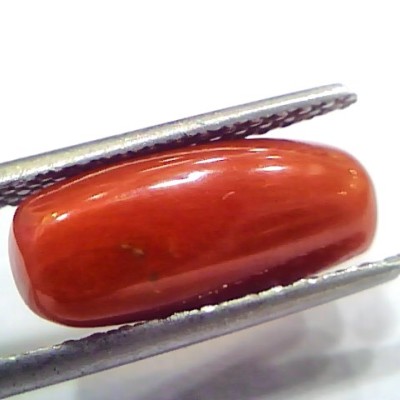 5.02 Ct 8.3 Ratti Natural Untreated Italian Red Coral Moonga Gems