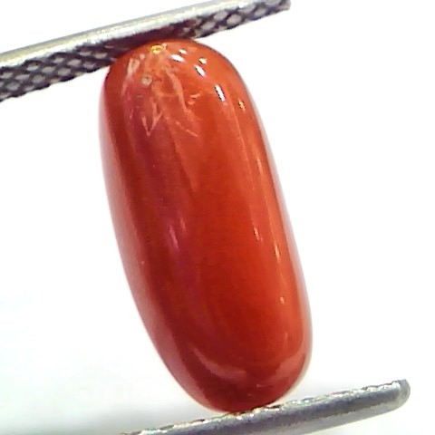 5.03 Ct 5.58 Ratti Natural Untreated Italian Red Coral Moonga Gems