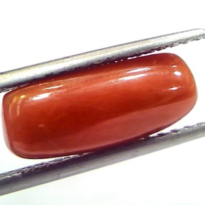 5.04 Ct 8.3 Ratti Natural Untreated Italian Red Coral Moonga Gems