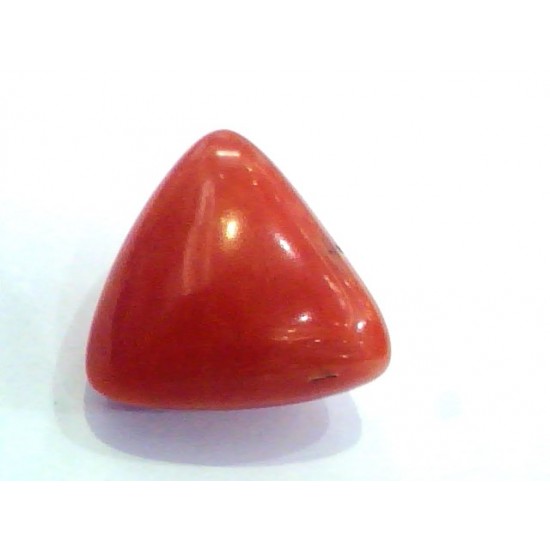 Huge 41 Ct Natural Red Italian Red Coral Gems,Real Moonga