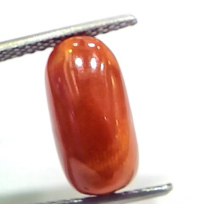 5.07 Ct 8.4 Ratti Natural Untreated Italian Red Coral Moonga Gems