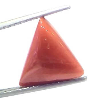 5.02 Ct Natural Italian Triangle Red Coral Trikon Moonga Gemstone 5.02 Ct Natural Italian Triangle Red Coral Trikon Moonga Gemstone
