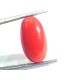 5.08 Ct Untreated Natural Premium Italian Red Coral AAAAA