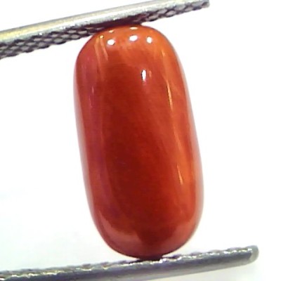 5.07 Ct 8.4 Ratti Natural Untreated Italian Red Coral Moonga Gems