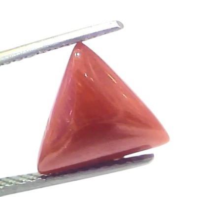 5.03 Ct Natural Italian Triangle Red Coral Trikon Moonga Gemstone